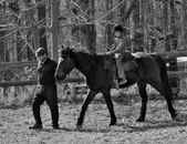 Enlarge photo 66