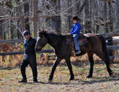 Enlarge photo 65