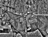 Enlarge photo 69