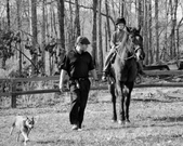 Enlarge photo 60