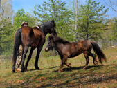 Enlarge photo 43