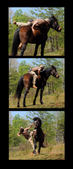 Enlarge photo 59