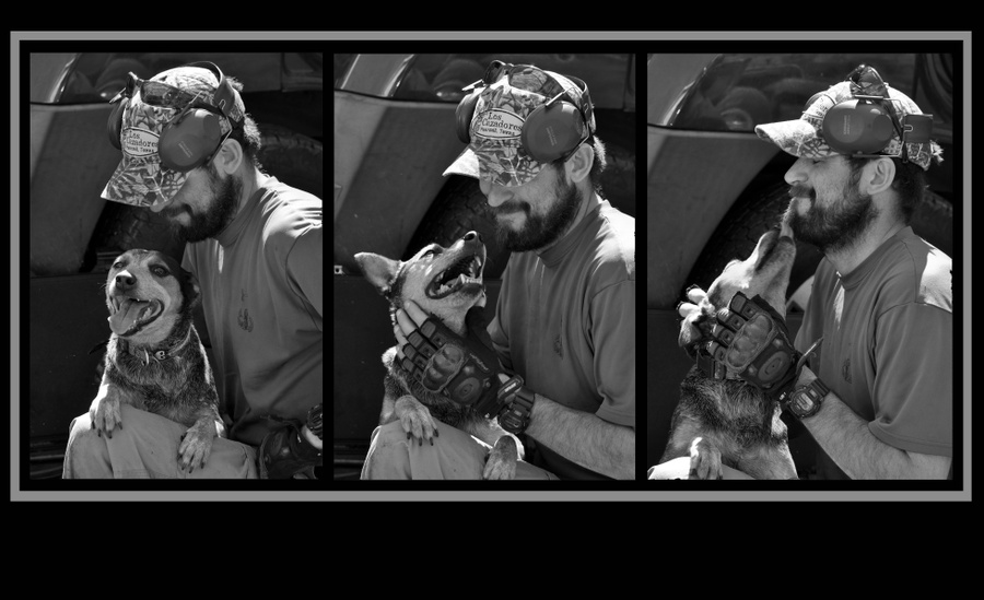 View Original Image