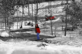 Enlarge photo 63