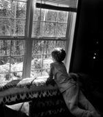 Enlarge photo 57