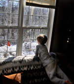 Enlarge photo 64