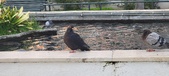 Enlarge photo 28