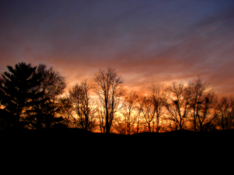 Enlarge photo 118