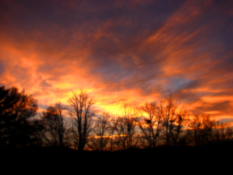 Enlarge photo 113