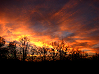 Enlarge photo 116