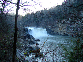 Enlarge photo 142