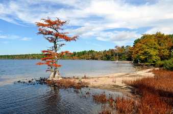 Enlarge photo 24