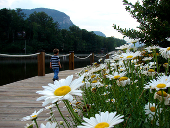 Enlarge photo 121