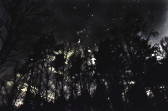 Enlarge photo 89