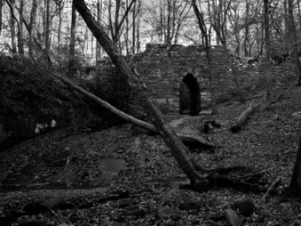 Enlarge photo 152