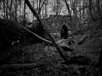Enlarge photo 119