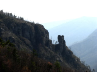Enlarge photo 117