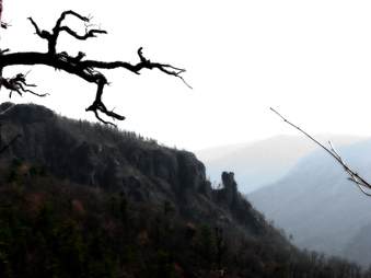 Enlarge photo 114