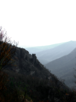 Enlarge photo 129