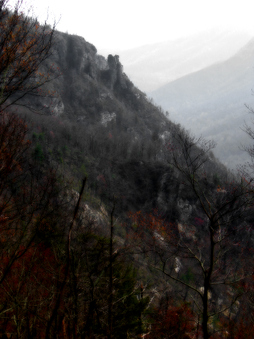 Enlarge photo 111