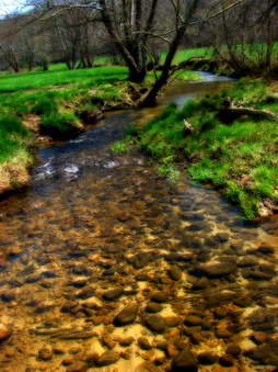 Enlarge photo 120
