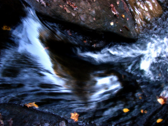 Enlarge photo 63