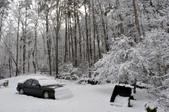 Enlarge photo 15