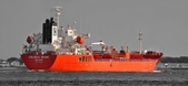 Enlarge photo 158