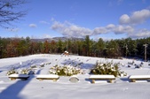 Enlarge photo 18