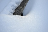 Enlarge photo 43