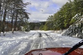 Enlarge photo 38