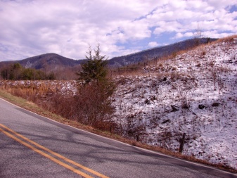 Enlarge photo 50