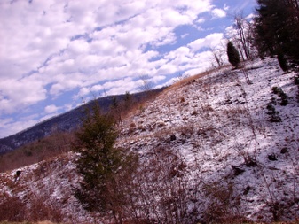 Enlarge photo 51
