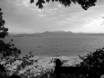 Enlarge photo 16
