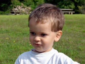 Enlarge photo 84