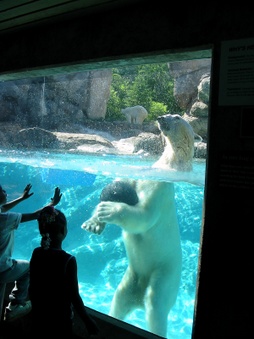 Enlarge photo 21