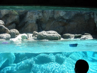 Enlarge photo 30