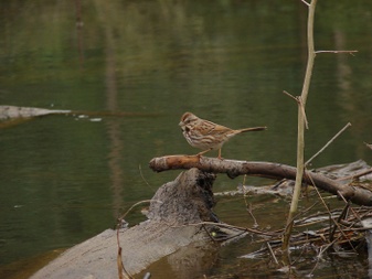 Enlarge photo 53