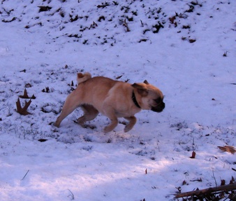 Enlarge photo 40