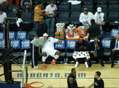 Enlarge photo 137
