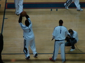 Enlarge photo 319