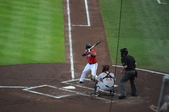 Enlarge photo 86