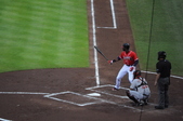 Enlarge photo 106
