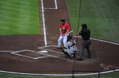 Enlarge photo 113