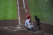Enlarge photo 114