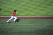Enlarge photo 199
