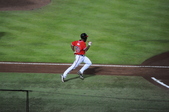 Enlarge photo 203