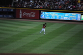 Enlarge photo 227