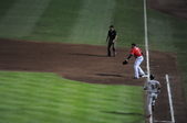 Enlarge photo 233