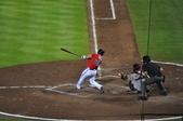 Enlarge photo 294